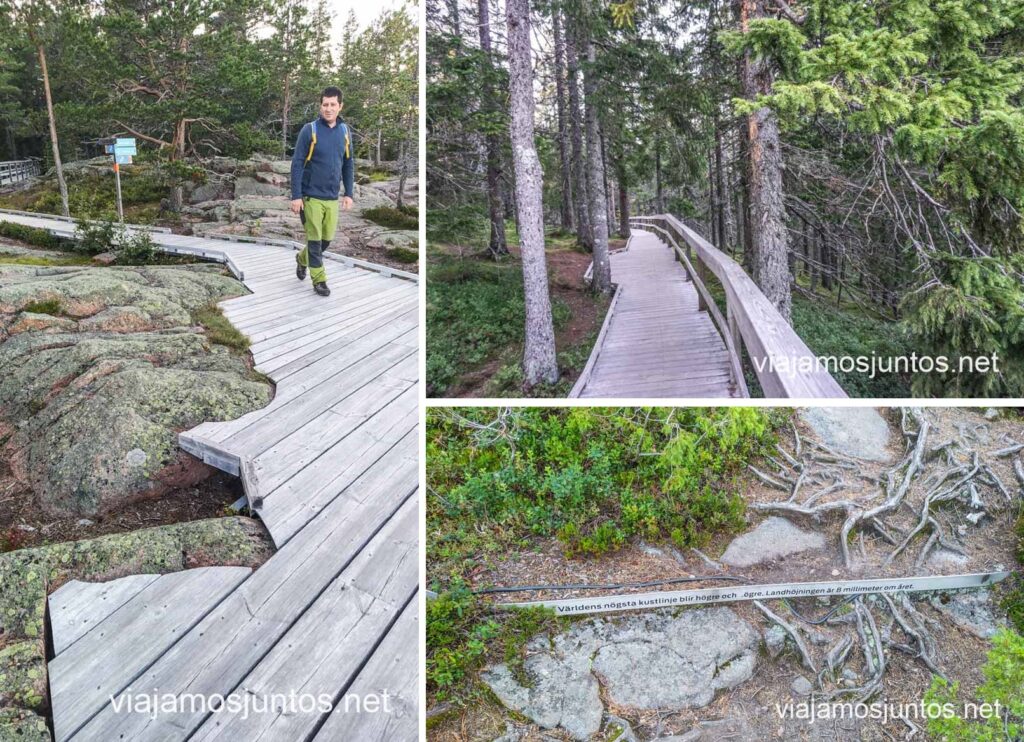 Kalottstigen y la línea del nivel del mar hace 10,000 años.