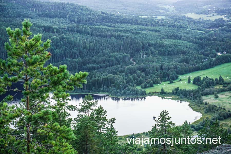 Reserva Natural Skuleberget: lagos y bosques centenarios.