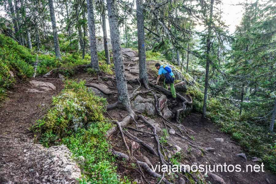 Procura llevar buen calzado en tus rutas por la Reserva Natural Skuleberget.