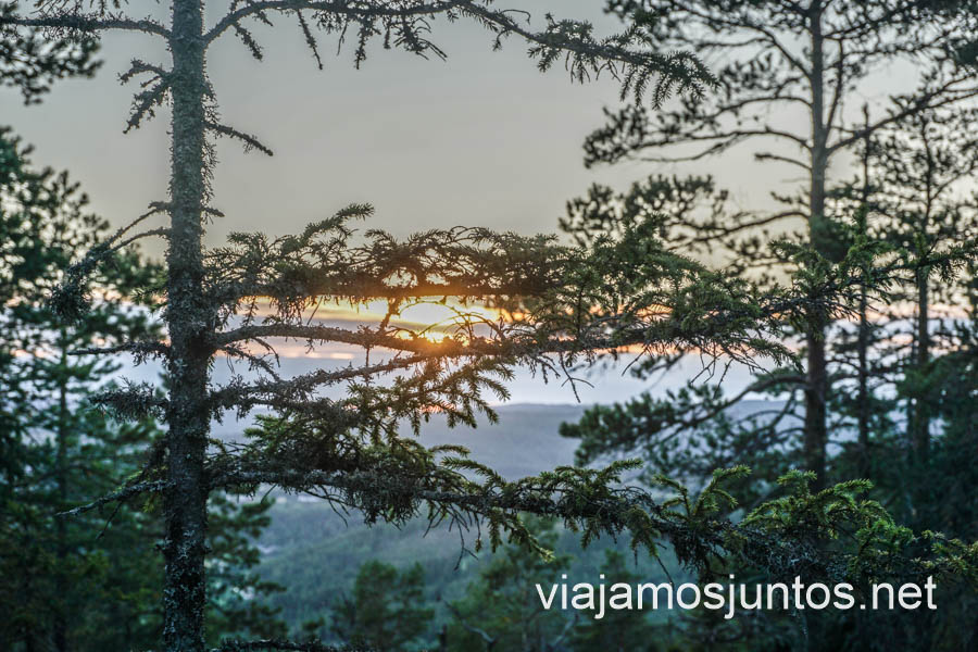 ¿Cuál es la mejor época para explorar la Reserva Natural Skuleberget?