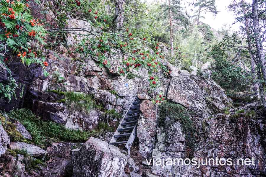 Puedes subir a Skuleberget haciendo una de las 3 rutas de senderismo, en teleférico o por una de las 4 vías ferratas.