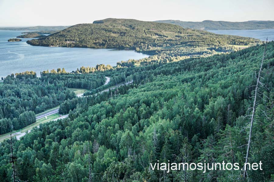 Vistas de Höga Kusten (Costa Alta de Suecia) desde la ruta Grottstigen.