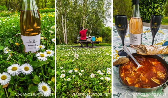 Degustación de los vinos de Parnay en una zona de picnic de al lado.