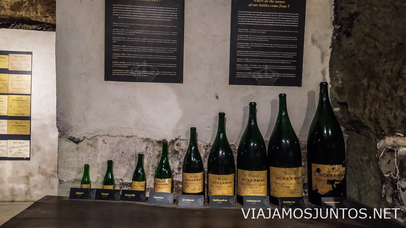 ¿Qué tamaño de la botella escogerías tú?