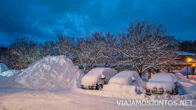 A veces cae demasiada nieve en Suecia en invierno...