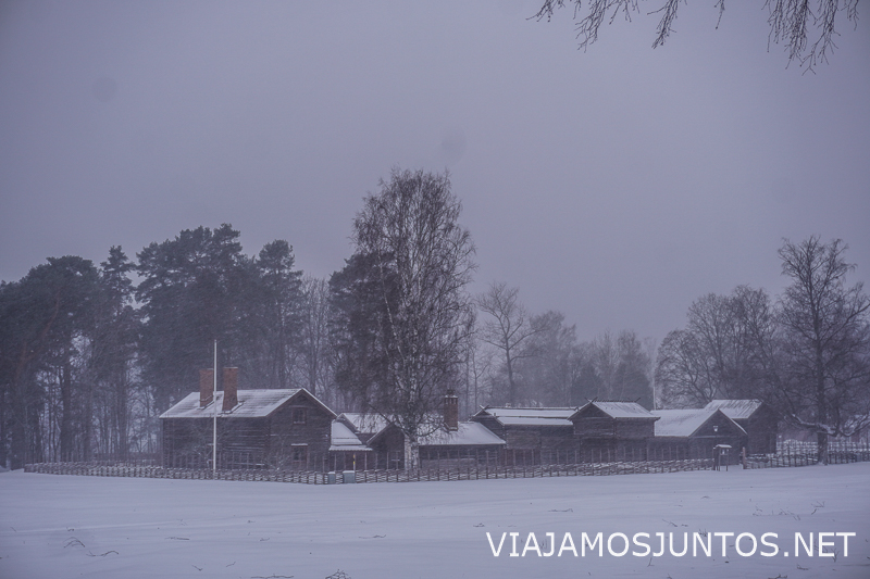 Paisaje rural con casas cubiertas de nieve en Suecia
