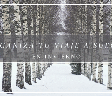 Camino nevado entre árboles durante el invierno en Suecia