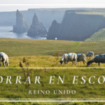 Acantilados de las Highlands de Escocia con ovejas pastando, imagen sobre cómo ahorrar en un viaje por Escocia.