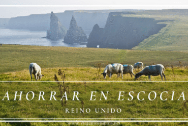Acantilados de las Highlands de Escocia con ovejas pastando, imagen sobre cómo ahorrar en un viaje por Escocia.