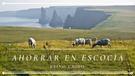 Acantilados de las Highlands de Escocia con ovejas pastando, imagen sobre cómo ahorrar en un viaje por Escocia.