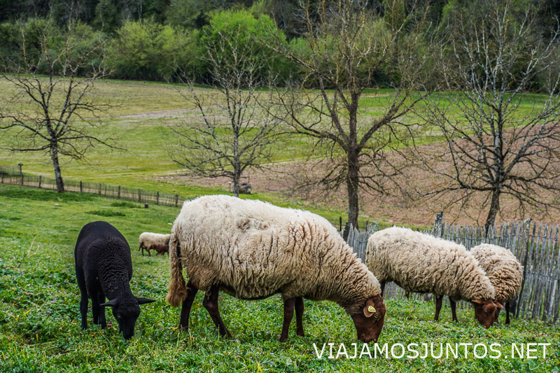 Paisaje rural del Périgord Noir en la Dordoña francesa