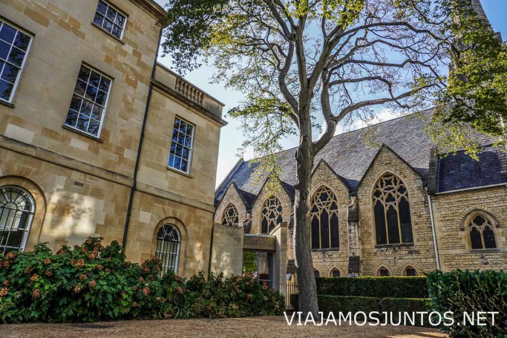 Edificios rodeados de árboles en St Peter's College en Oxford.
