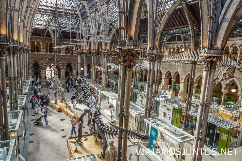 Interior acristalado de la nave principal del Museo de Historia Natural de Oxford.